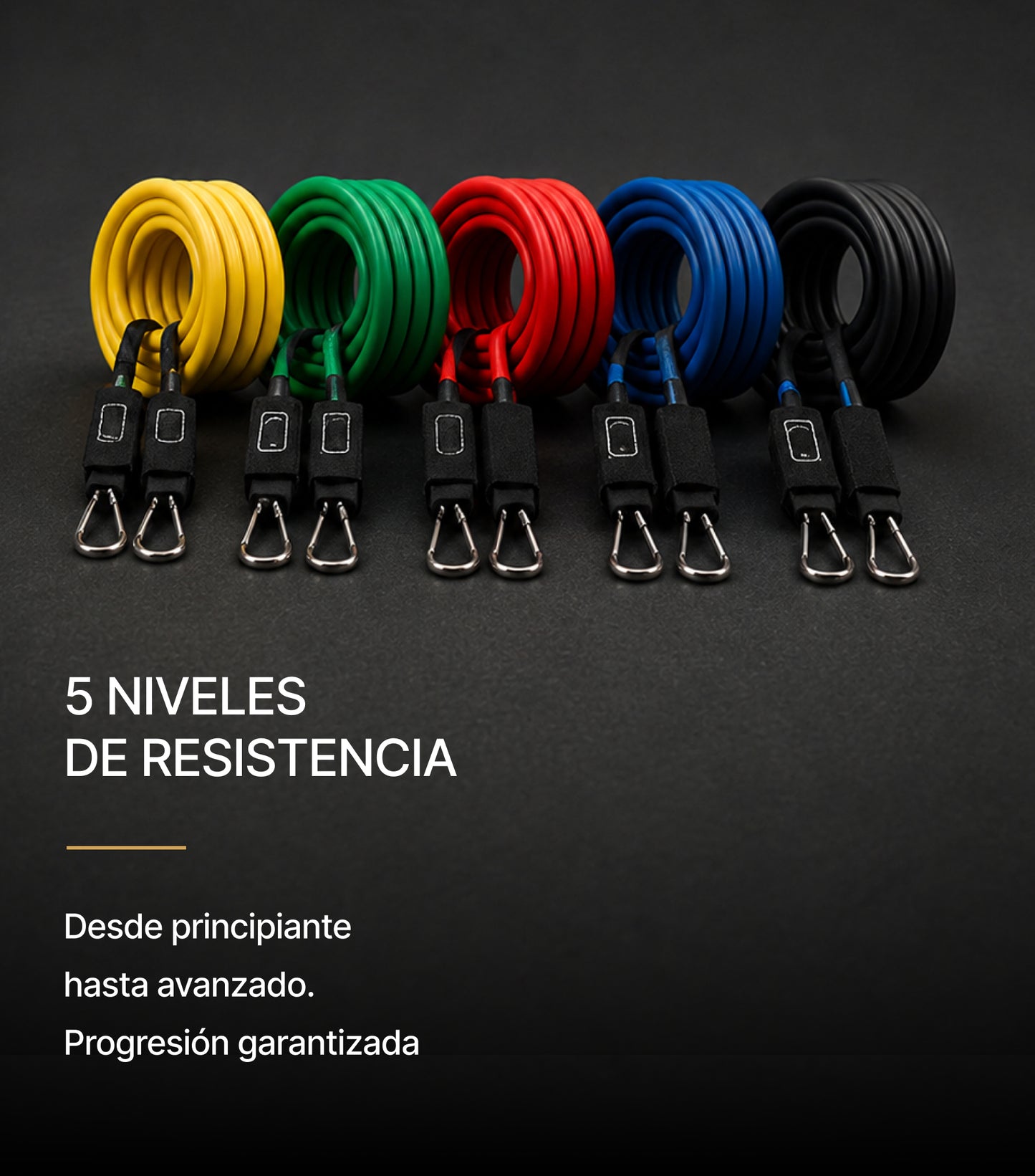 FlexForce™ Bandas de Resistencia Fitness