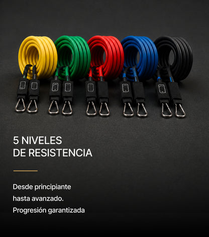 FlexForce™ Bandas de Resistencia Fitness