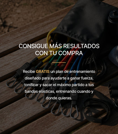 FlexForce™ Bandas de Resistencia Fitness